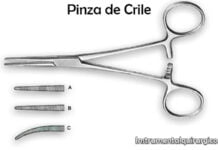 Pinza de Crile pinza de crile